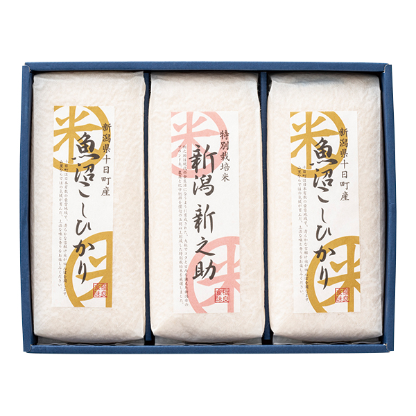 �V���ē��I�l����(5�{��) (SPN-70)
